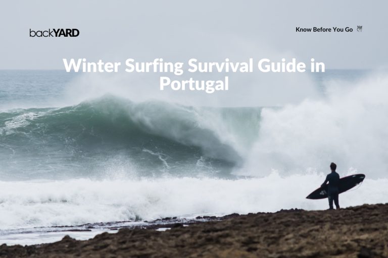 Read more about the article Winter Surfing Survival Guide in Portugal